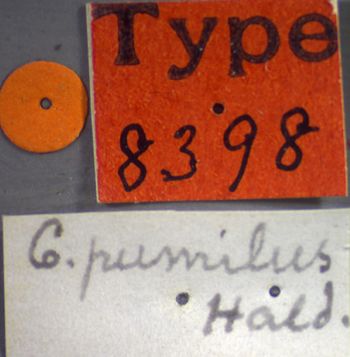 Media type: image;   Entomology 8398 Aspect: labels